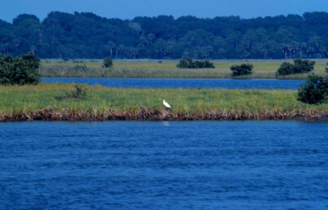 Guana Tolomato Matanzas National Estuarine Research Reserve. Picture