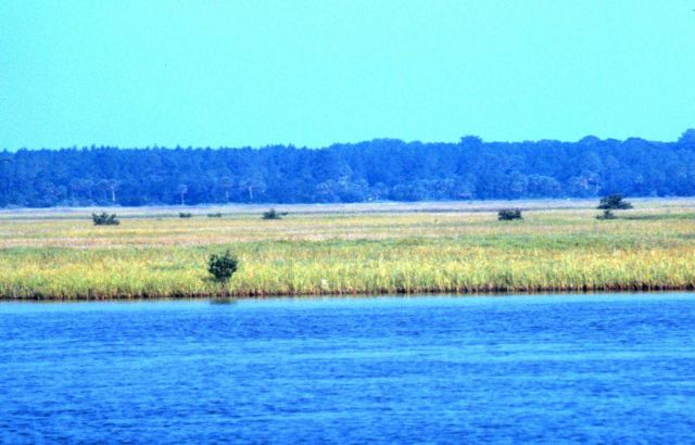Guana Tolomato Matanzas National Estuarine Research Reserve. Picture