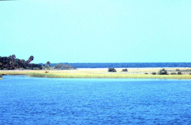 Guana Tolomato Matanzas National Estuarine Research Reserve. Picture