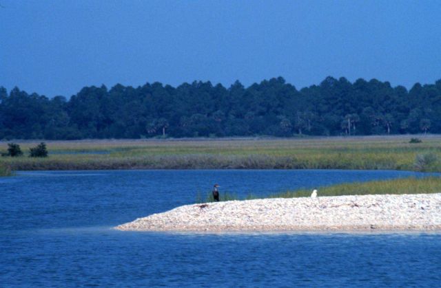 Guana Tolomato Matanzas National Estuarine Research Reserve. Picture