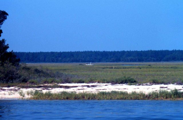 Guana Tolomato Matanzas National Estuarine Research Reserve. Picture