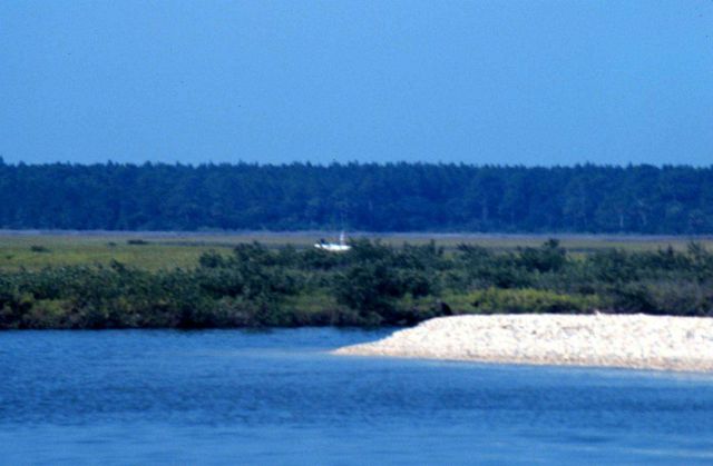 Guana Tolomato Matanzas National Estuarine Research Reserve. Picture
