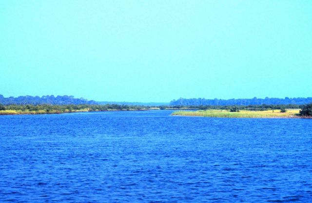 Guana Tolomato Matanzas National Estuarine Research Reserve. Picture