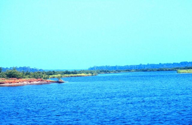 Guana Tolomato Matanzas National Estuarine Research Reserve. Picture