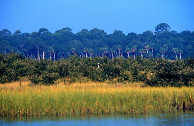 Guana Tolomato Matanzas National Estuarine Research Reserve. Picture