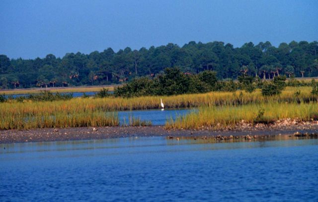 Guana Tolomato Matanzas National Estuarine Research Reserve. Picture