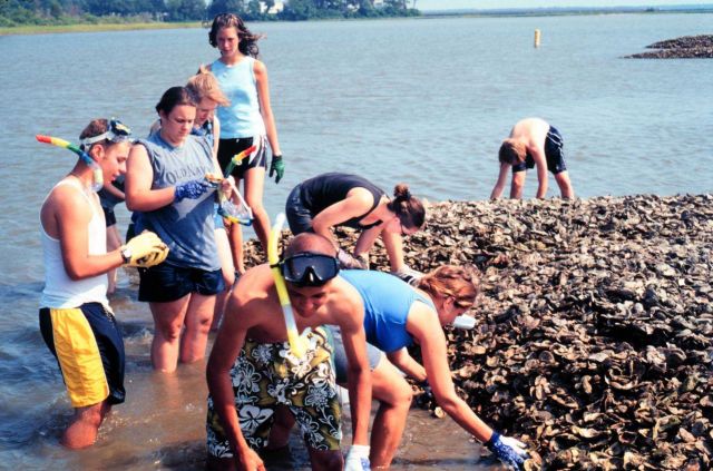Chesapeake Bay Virginia National Estuarine Research Reserve Picture