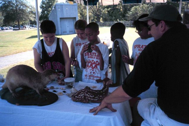 Chesapeake Bay Virginia National Estuarine Research Reserve Picture