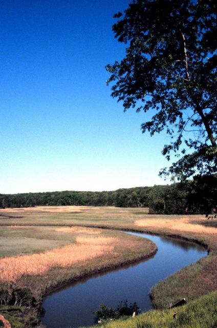 Chesapeake Bay Virginia National Estuarine Research Reserve Picture