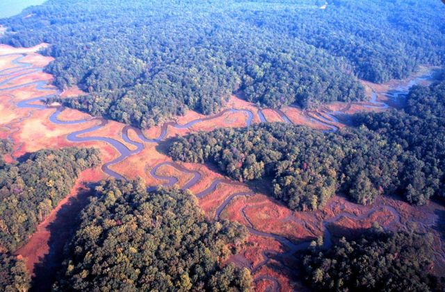 Chesapeake Bay Virginia National Estuarine Research Reserve Picture
