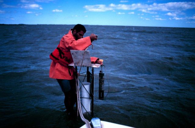 Chesapeake Bay Virginia National Estuarine Research Reserve Picture