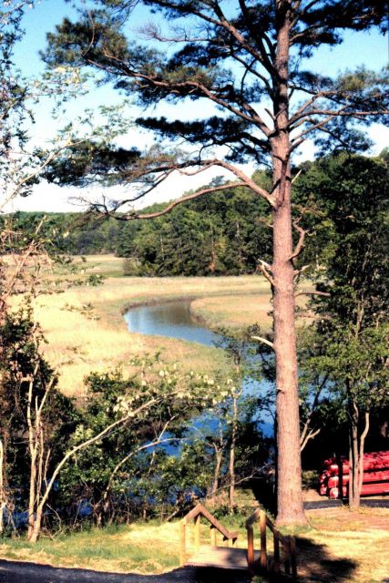 Chesapeake Bay Virginia National Estuarine Research Reserve Picture