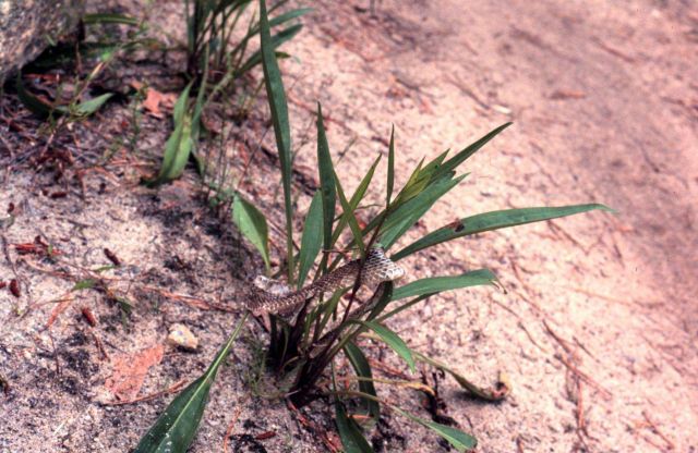 Waquoit Bay National Estuarine Research Reserve Picture