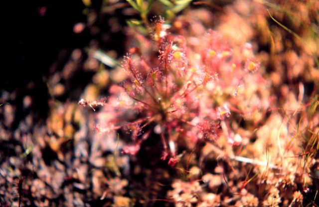 Waquoit Bay National Estuarine Research Reserve Picture