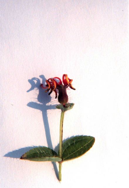 Waquoit Bay National Estuarine Research Reserve Picture