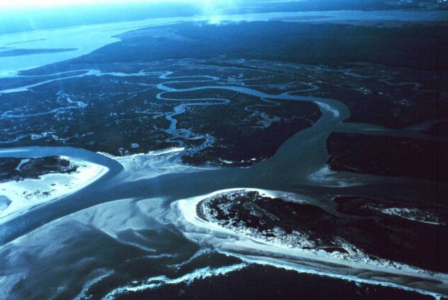 North Inlet - Winyah Bay National Estuarine Research Reserve Picture