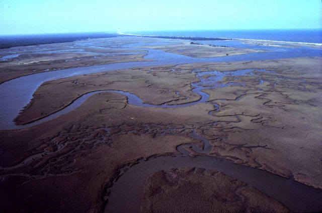 North Inlet - Winyah Bay National Estuarine Research Reserve Picture