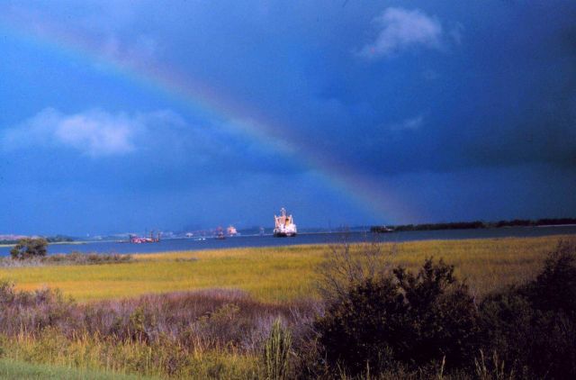 North Inlet - Winyah Bay National Estuarine Research Reserve Picture