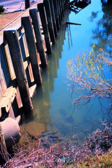 North Inlet - Winyah Bay National Estuarine Research Reserve Picture