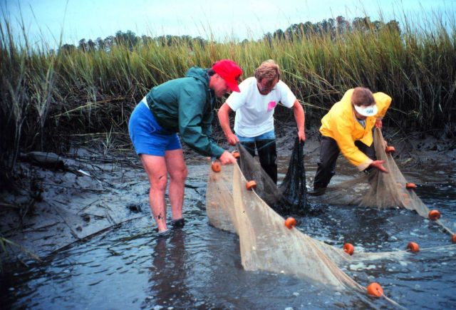 North Inlet - Winyah Bay National Estuarine Research Reserve Picture