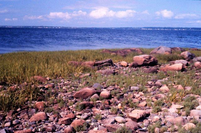 Narragansett Bay National Estuarine Research Reserve Cobble beach community at Providence Point. Picture