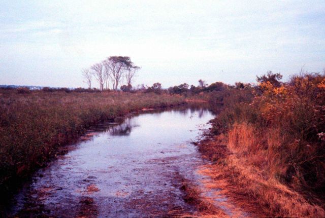 Narragansett Bay National Estuarine Research Reserve Providence Point at high tide. Picture