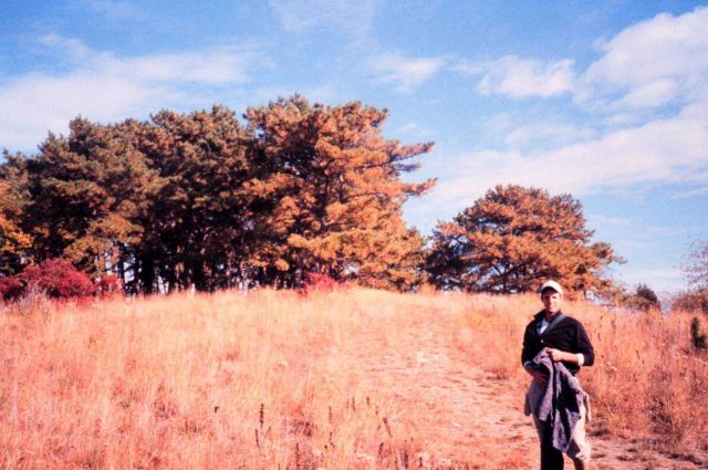 Narragansett Bay National Estuarine Research Reserve Pine Knoll on Prudence Island Picture