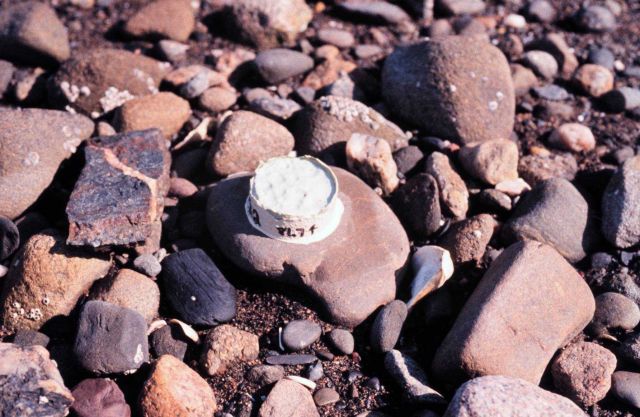 Narragansett Bay National Estuarine Research Reserve Dissolution block used to measure flow-speed of currents in inter-tidal zone. Picture