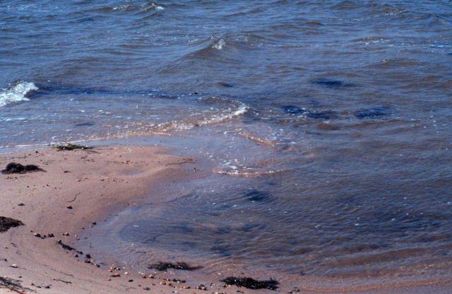 Waquoit Bay National Estuarine Research Reserve Picture