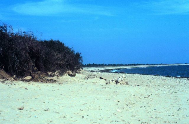 Waquoit Bay National Estuarine Research Reserve Picture