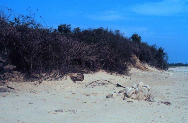 Waquoit Bay National Estuarine Research Reserve Picture