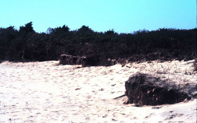 Waquoit Bay National Estuarine Research Reserve Picture