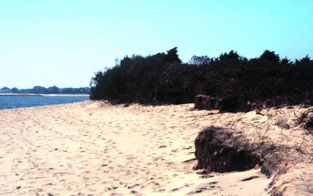 Waquoit Bay National Estuarine Research Reserve Picture