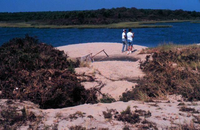 Waquoit Bay National Estuarine Research Reserve Picture