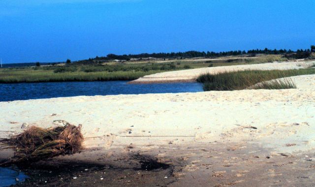 Waquoit Bay National Estuarine Research Reserve Picture