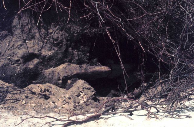 Waquoit Bay National Estuarine Research Reserve Picture