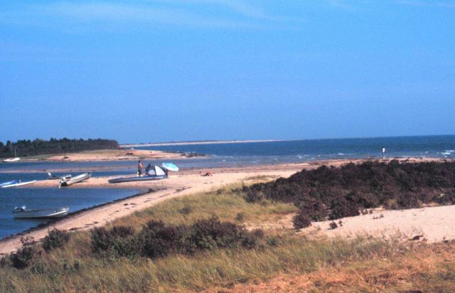 Waquoit Bay National Estuarine Research Reserve Picture
