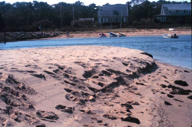 Waquoit Bay National Estuarine Research Reserve Picture