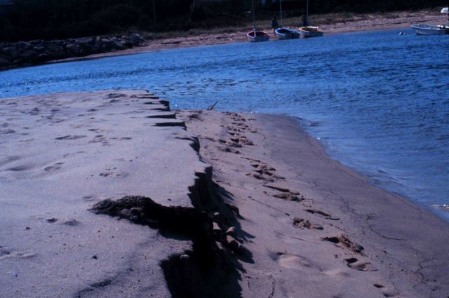Waquoit Bay National Estuarine Research Reserve Picture