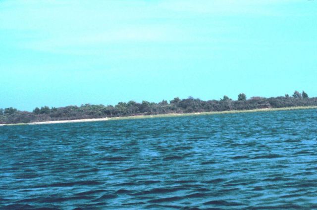 Waquoit Bay National Estuarine Research Reserve Picture