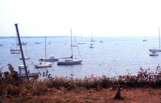 Waquoit Bay National Estuarine Research Reserve Picture
