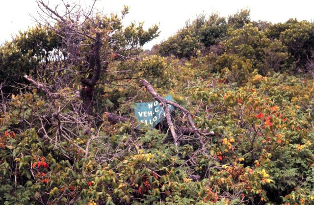 Waquoit Bay National Estuarine Research Reserve Picture