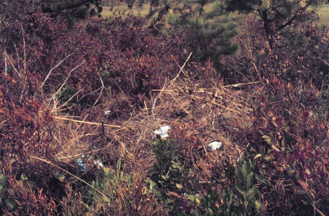 Waquoit Bay National Estuarine Research Reserve Picture