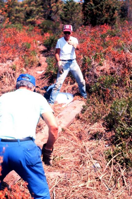 Waquoit Bay National Estuarine Research Reserve Picture