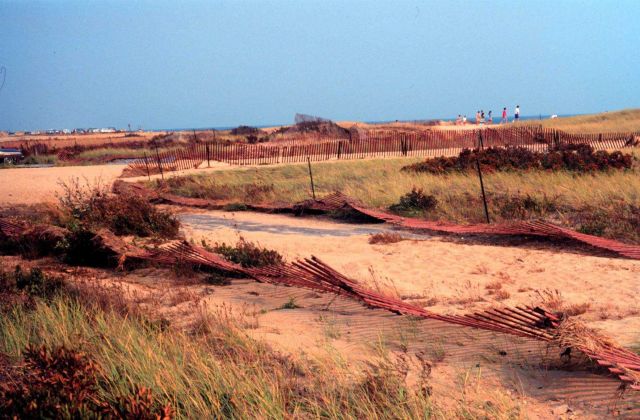 Waquoit Bay National Estuarine Research Reserve Picture