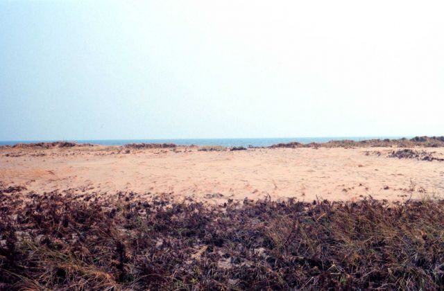 Waquoit Bay National Estuarine Research Reserve Picture