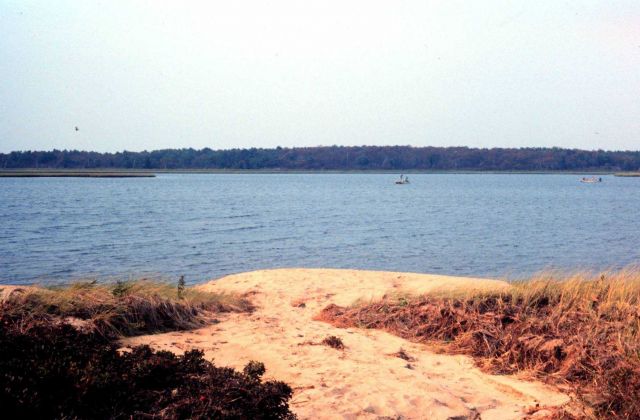 Waquoit Bay National Estuarine Research Reserve Picture