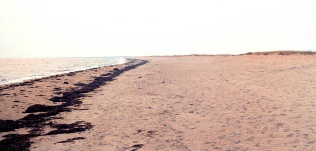Waquoit Bay National Estuarine Research Reserve Picture