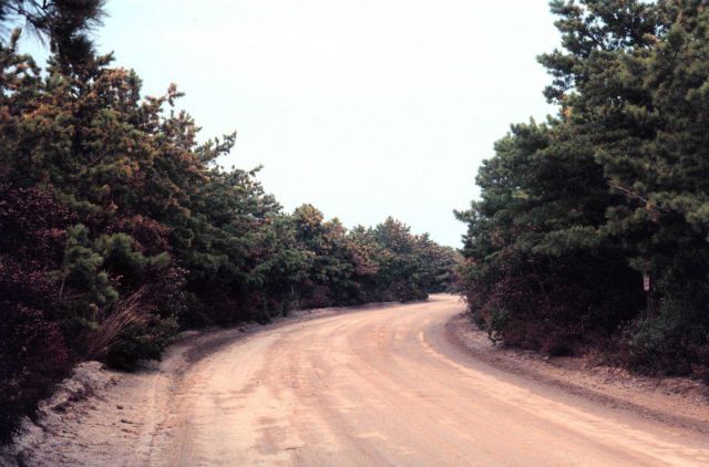 Waquoit Bay National Estuarine Research Reserve Picture
