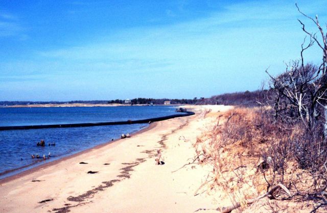 Waquoit Bay National Estuarine Research Reserve Picture